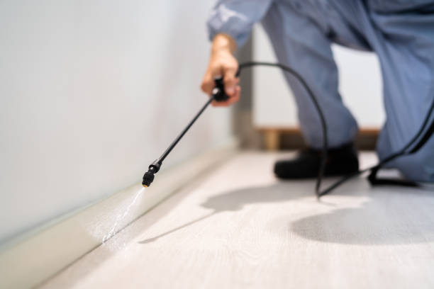 Professional exterminator conducting IPM assessment in DeBary