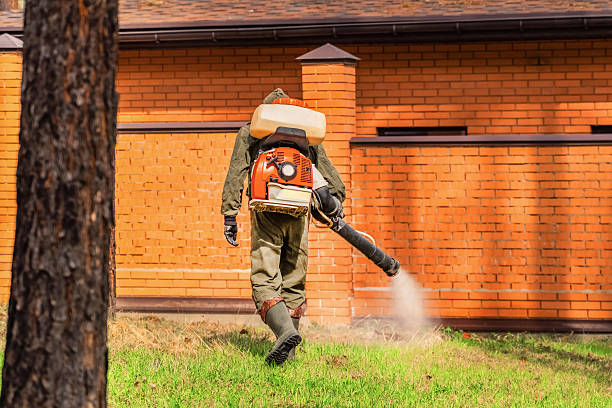 Top rated local Wasp Removal specialists in DeBary, FL